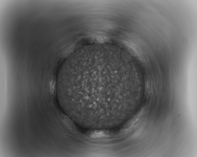 X0000093450177200710261108