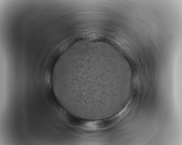 X0000093450178200710261109