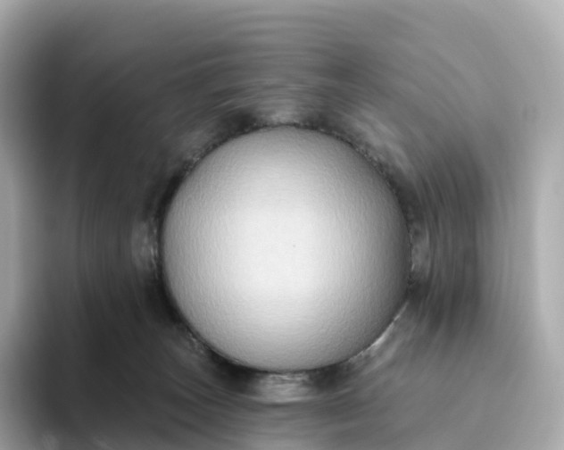 X0000093450179200710261109