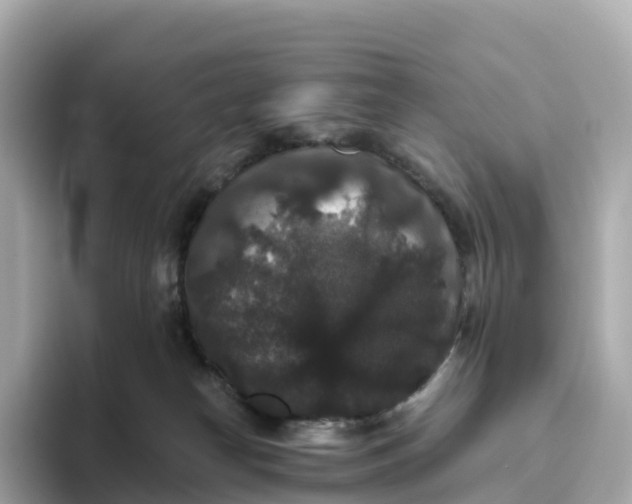 X0000093450182200710261109