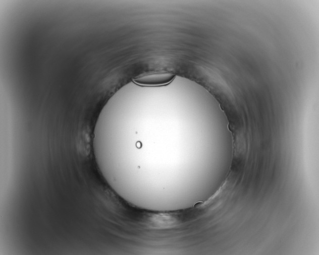 X0000093450183200710261109