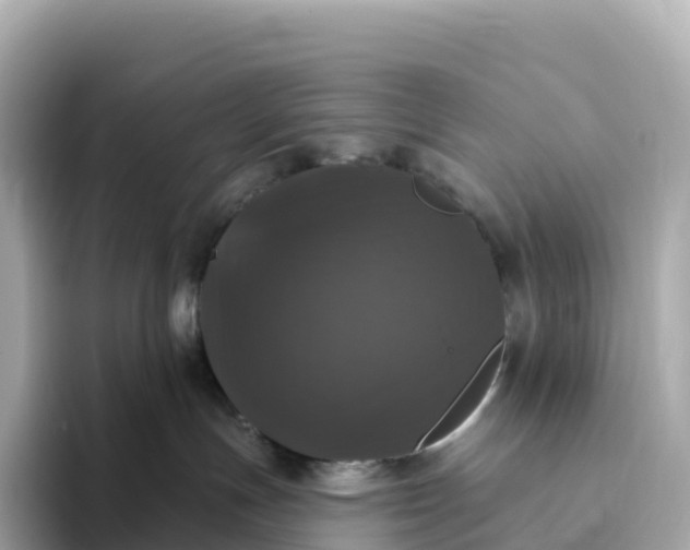 X0000093450191200710261109