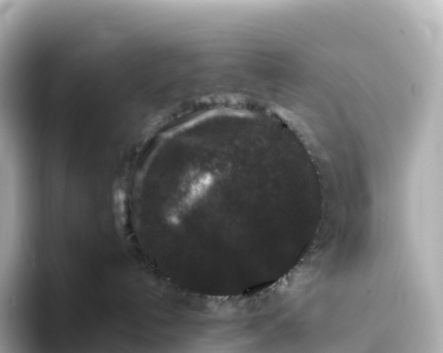 X0000093450192200710261109