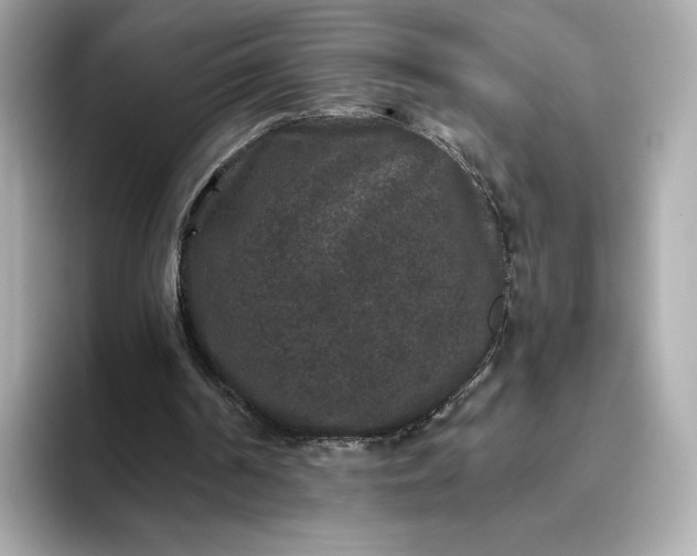 X0000093450194200710261108