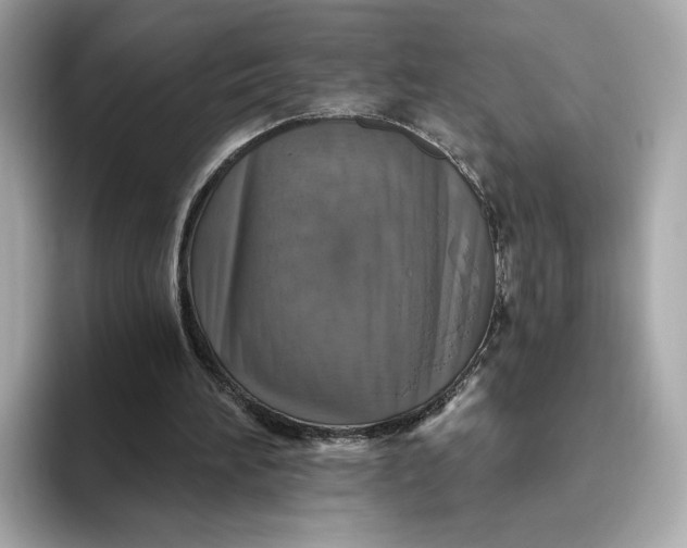 X0000093450196200710261108