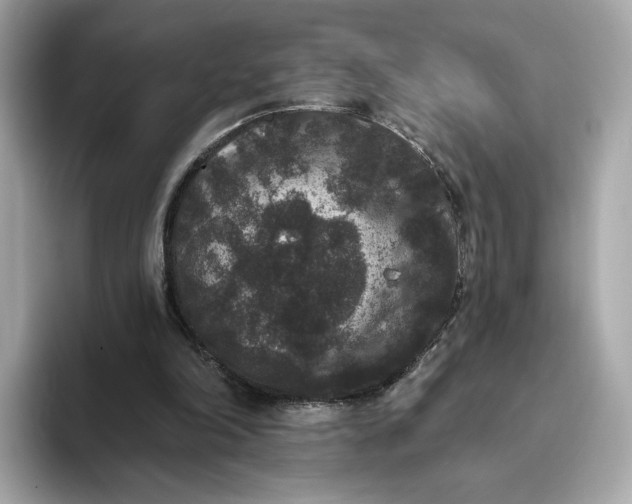 X0000093450198200710261108