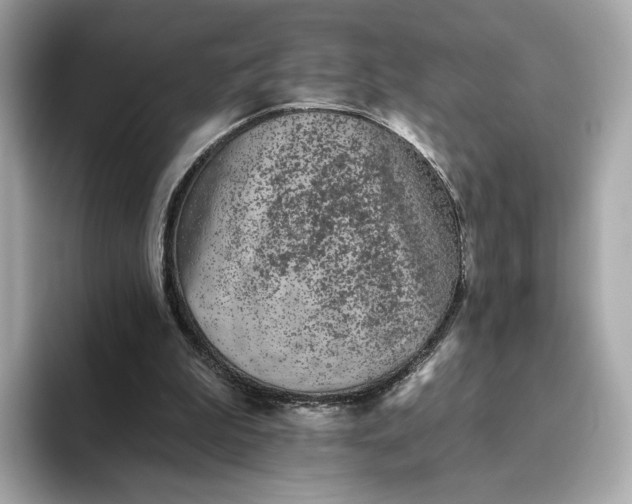 X0000093450199200710261108