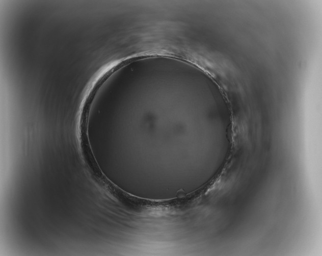 X0000093450200200710261108