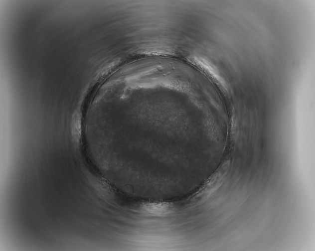 X0000093450202200710261108