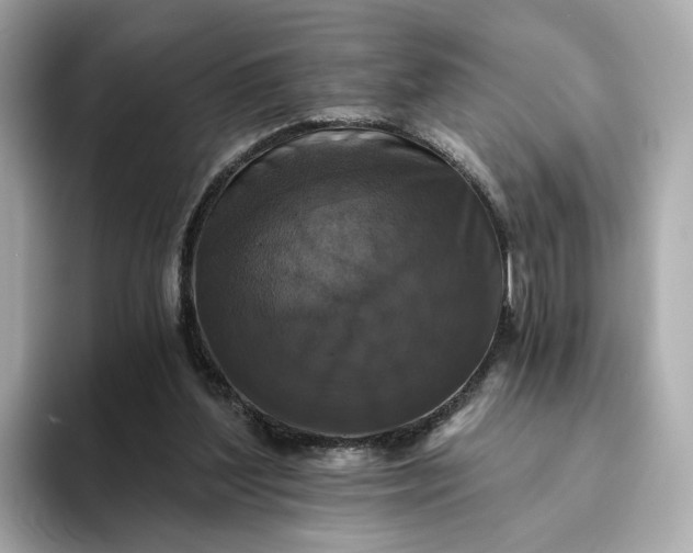 X0000093450204200710261108