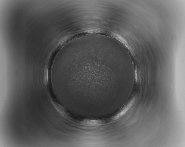 X0000093450205200710261108