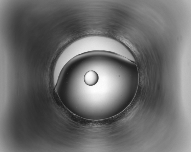 X0000093450207200710261108