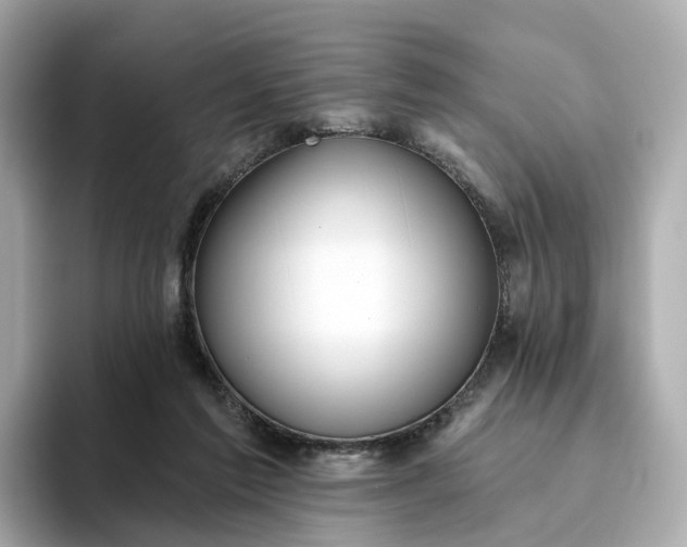 X0000093450213200710261108