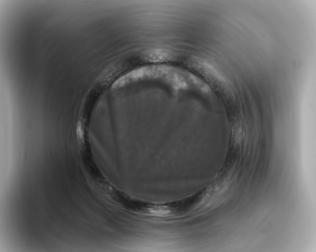 X0000093450214200710261108