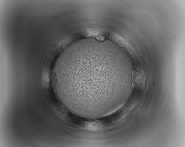 X0000093450215200710261108