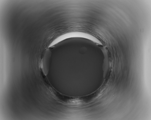 X0000093450219200710261108