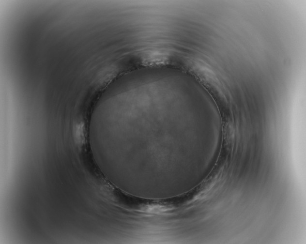 X0000093450224200710261108