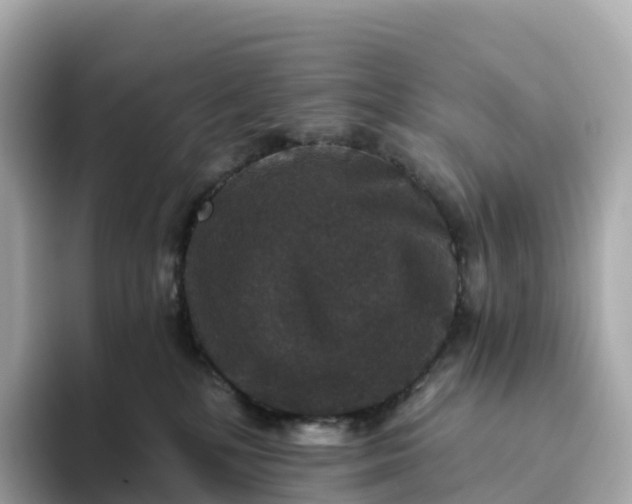 X0000093450232200710261108