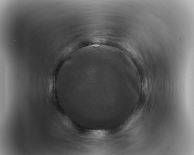 X0000093450233200710261108