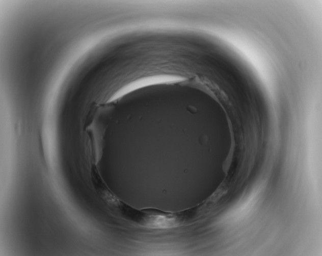 X0000093450239200710261107