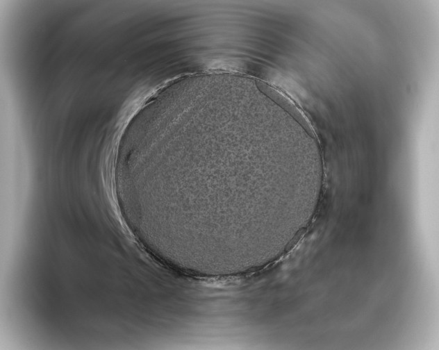 X0000093450241200710261107