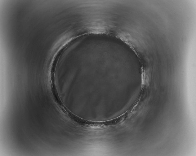 X0000093450243200710261107