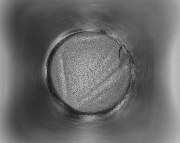 X0000093450246200710261107