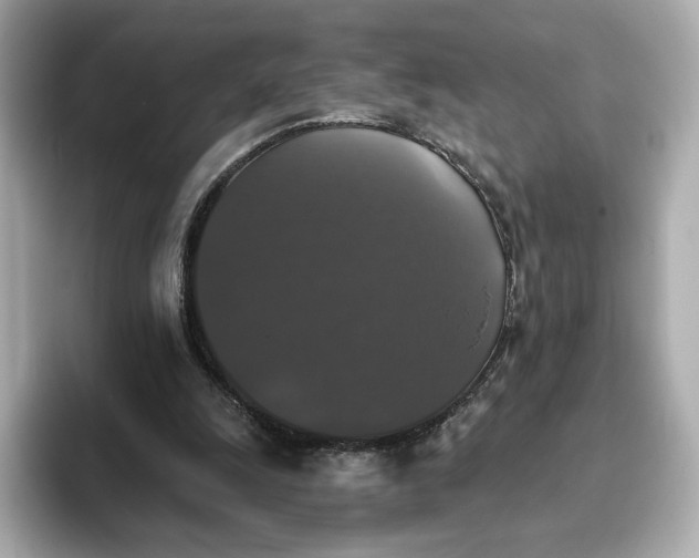 X0000093450247200710261107