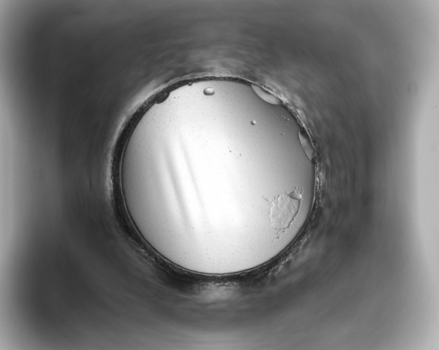 X0000093450248200710261107