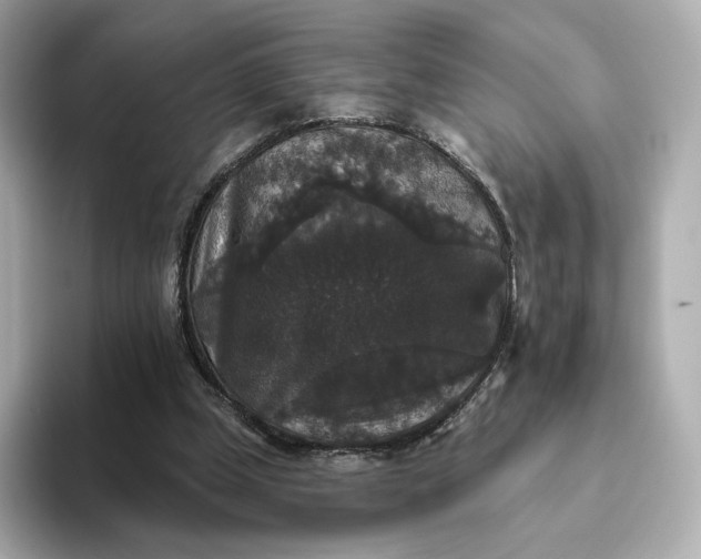 X0000093450249200710261107