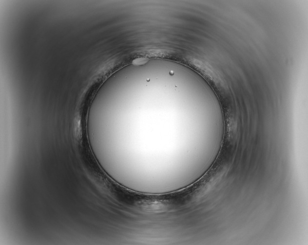 X0000093450254200710261107