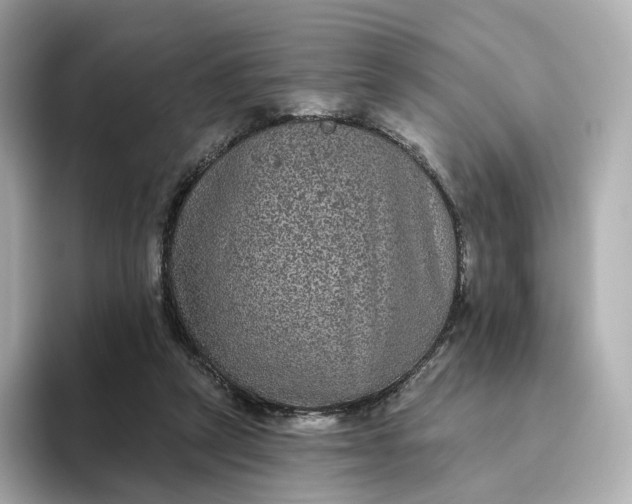 X0000093450257200710261107