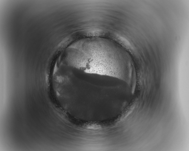 X0000093450258200710261107