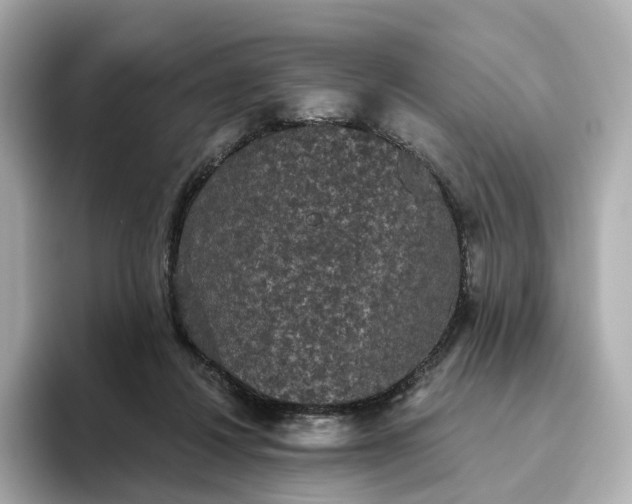 X0000093450260200710261107