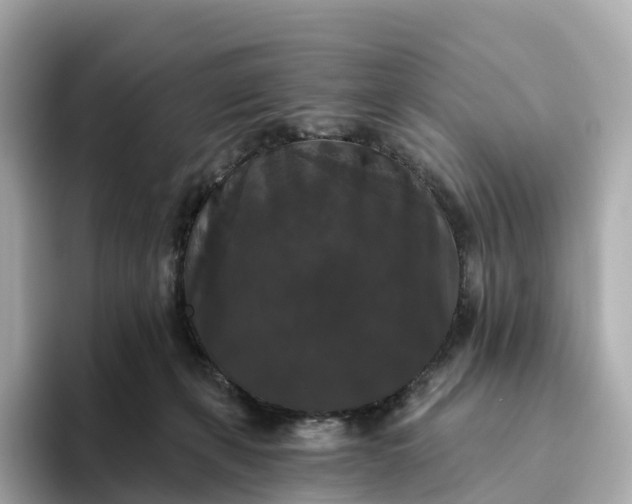 X0000093450271200710261107