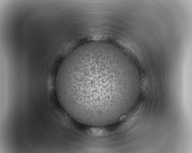 X0000093450272200710261107