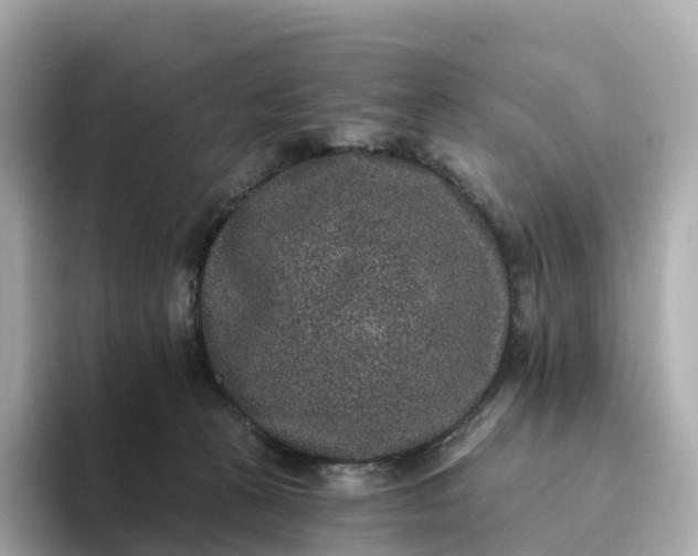 X0000093450273200710261107