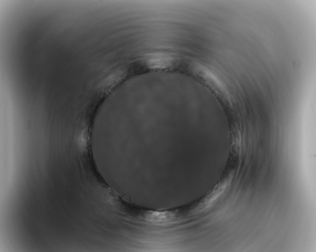 X0000093450277200710261107