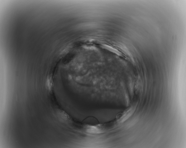 X0000093450285200710261107