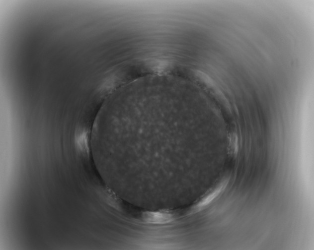 X0000093450286200710261107