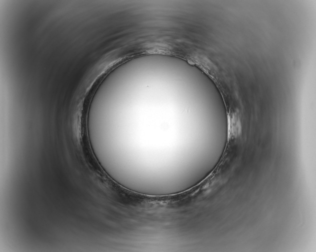 X0000093450291200710261107