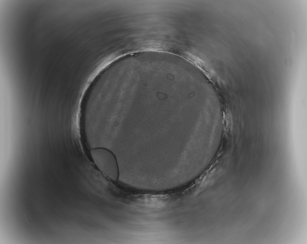 X0000093450292200710261107