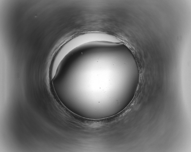 X0000093450293200710261107