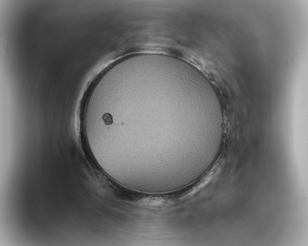 X0000093450294200710261107