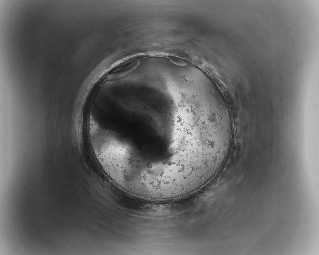 X0000093450295200710261107