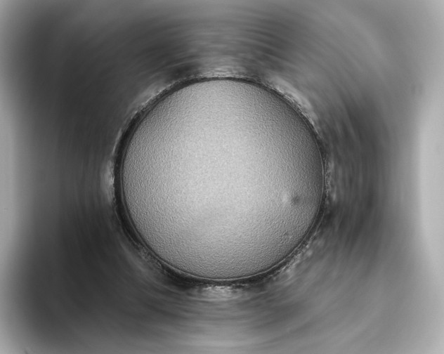 X0000093450298200710261107