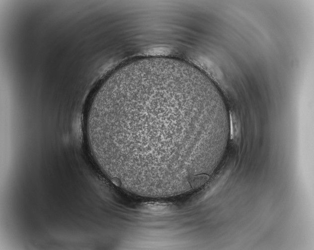 X0000093450300200710261107