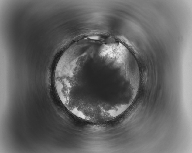 X0000093450303200710261107