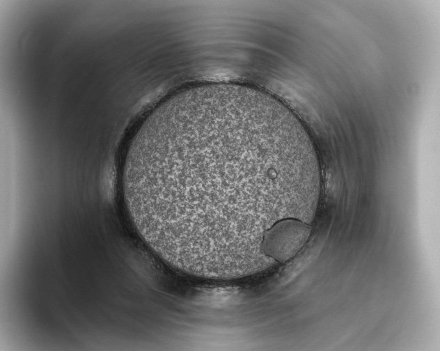 X0000093450304200710261107