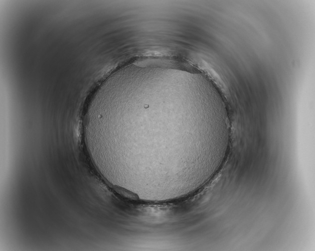 X0000093450305200710261107